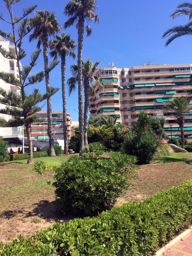 Apartmento Hana Con Terraza - Despues De La Renovacion General La Mata  Exteriér fotografie